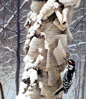 Hairy Woodpecker and Birch (detail), 2001
