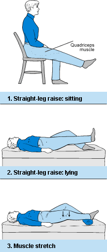 Back Strengthening Exercises: Back Strengthening Exercises In Bed