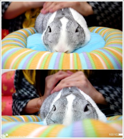 Una's little Angel.
