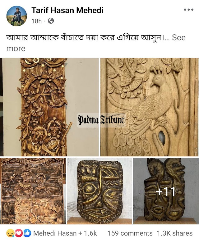 মায়ের চিকিৎসায় সহায়তা চেয়ে নিজের আঁকা বিক্রির ঘোষণা রাবি শিক্ষার্থীর