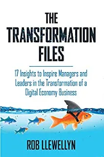The Transformation Files: 17 Insights to Inspire Managers and Leaders in the Transformation of a Digital Economy Business by Rob Llewellyn - book promotion services