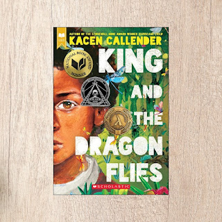 Find books featuring queer characters recommended by middle and high school ELA teachers, for you to feature in your classroom library.