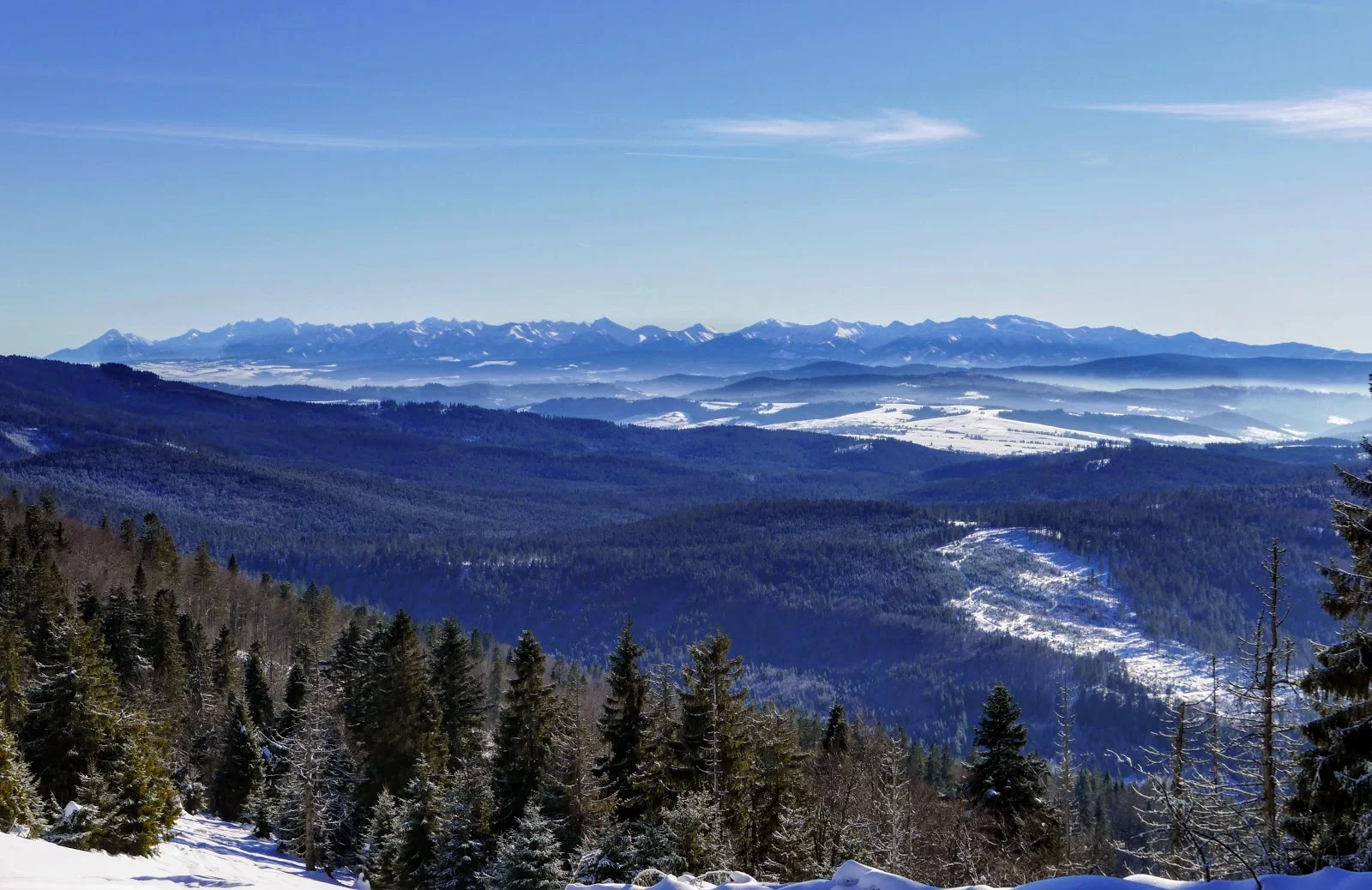 Beskid Żywiecki: Hala Rysianka panorama