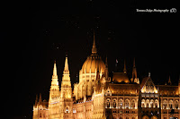 2015.10.02 Budapest. Parliament building and birds.