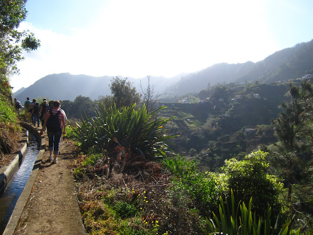 Madeira Levada do Castelejo