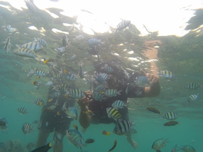 Snorkling Seru dan Menyelam di Pulau Pahawang Besar 