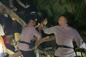 Polsek Cilawu Polres Garut Respon cepat Pohon tumbang yang menimpa pengendara
