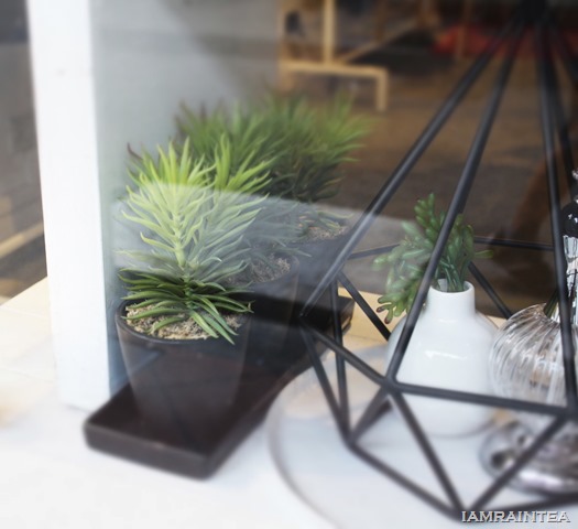 plant_1