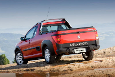 2011 Peugeot Hoggar 207 Rear View