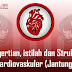 Pengertian, Istilah Dan Struktur Kardiovaskuler (Anatomi Jantung Dan Pembuluh Darah)