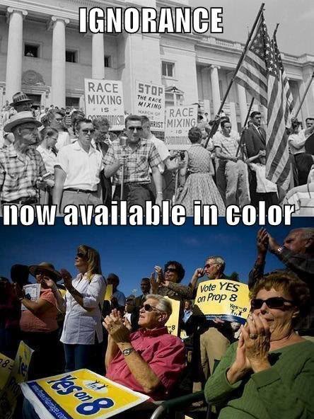 Ignorance - Now Available In Color