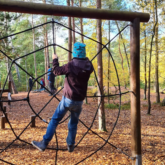 Klitplantagen in Dänemark: Liebenswerte Küstenwäldchen zum Spazierengehen und Wandern & die Tversted Klitplantage. Auf Küstenkidsunterwegs erkläre ich Euch die Bedeutung des dänischen Worts "klitplantage" und zeige Euch, was der Küstenwald in Nordjütland alles zu bieten hat.