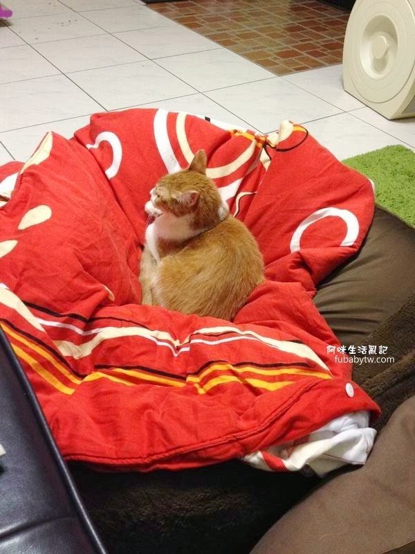 調整大小IMG_2027