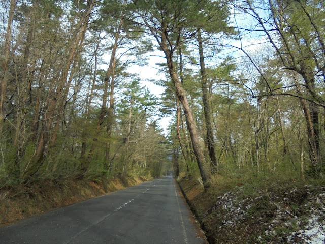 大山口停車場大山線の美しい景観