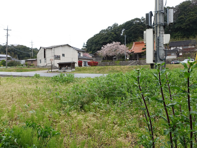 旧名和の長綱寺