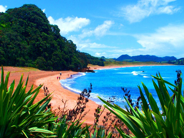 Labels: New Zealand Beach