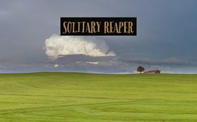 William Wordsworth solitary reaper