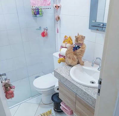 Kamar mandi sempit dengan dinding keramik kecil