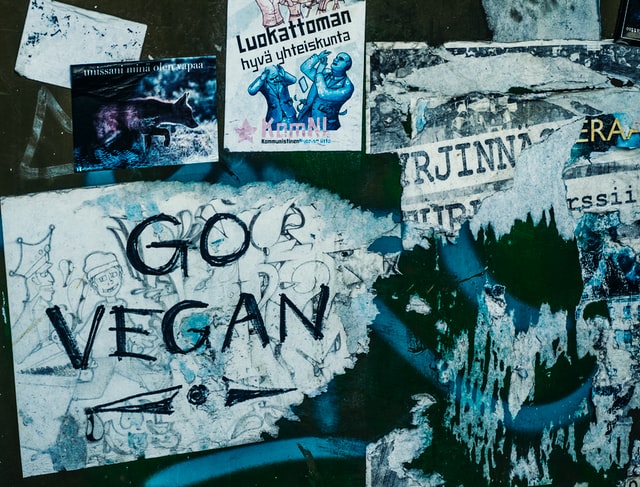 Go vegan graffittied on a wall