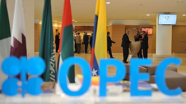 OPEC Nations Line Up Behind Saudi Call 