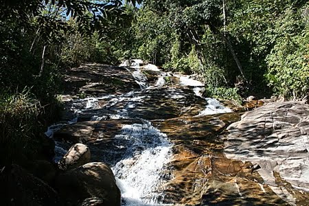 Floresta Estadual do Apuí 