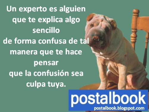 Imagenes con frases graciosas para whatsapp Imagenes