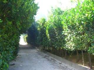 CIMG2759