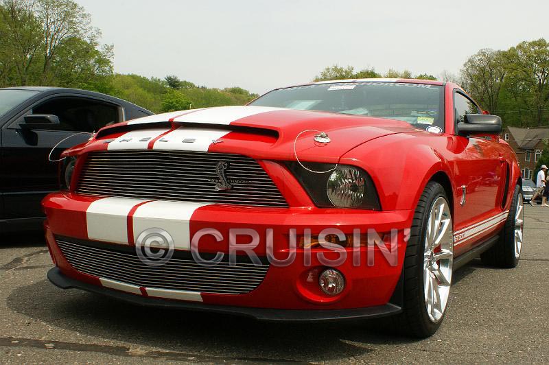  Cobra Mustang Ford and Ford Power Meet 2010 held at Mustangs 