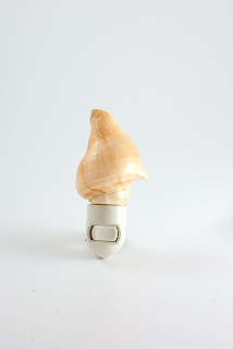 Conch Shell Night Light from CereusArt