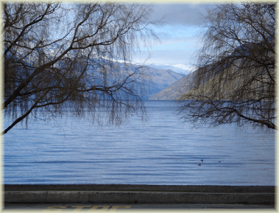 Ducks swimming on Lake Wakatipu