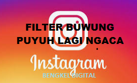 Filter Buwung Puyuh lagi ngaca | Nama Sama dengan Filter pantun Gombal Instagram.