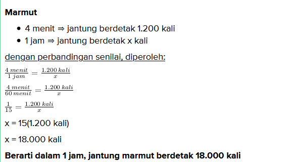 Jawaban Ayo Kita Berlatih 5 2 Halaman 18 Matematika Kelas 7