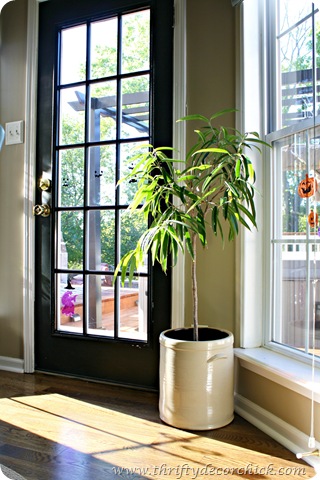 decorating with plants