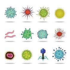 Viruses like Malaria Corona COVD etc.