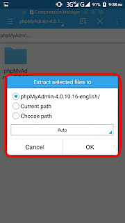 palapa web server -  best localhost app for android 
