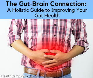 The Gut-Brain Connection  A Holistic Guide to Improving Your Gut Health