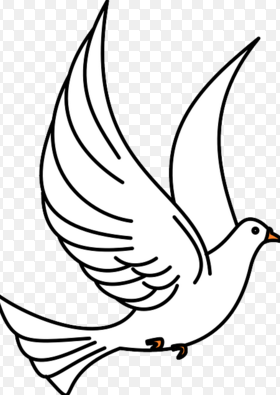 Mewarnai Gambar Burung Merpati Dengan Bagus - blog mewarnai