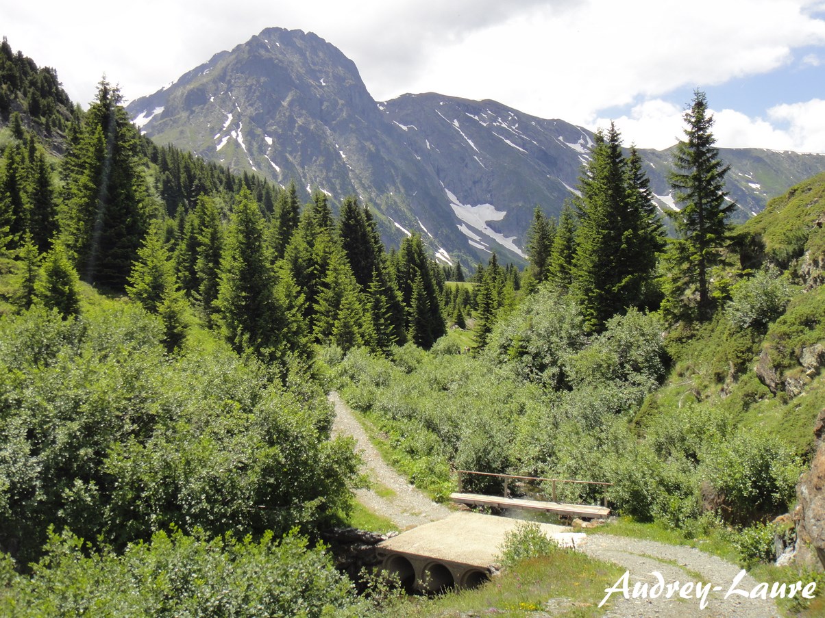 plateau des lacs