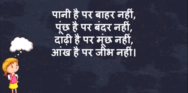 Hindi riddles