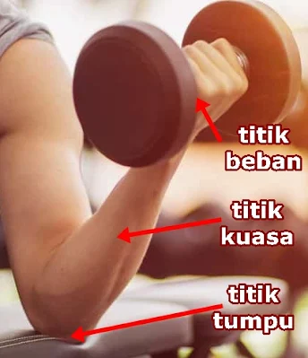 Bimbel Jakarta Timur | Bimbel Diah Jakarta Timur | WA : +6285875969990