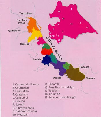 "REGIÓN TOTONACA"
