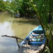 View album