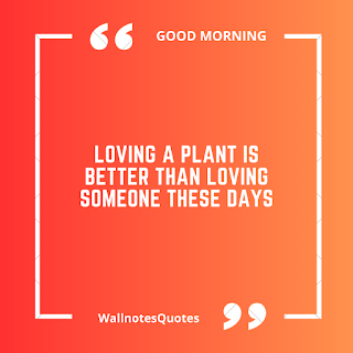 Good Morning Quotes, Wishes, Saying - wallnotesquotes -Loving a plant is better than loving someone these days.