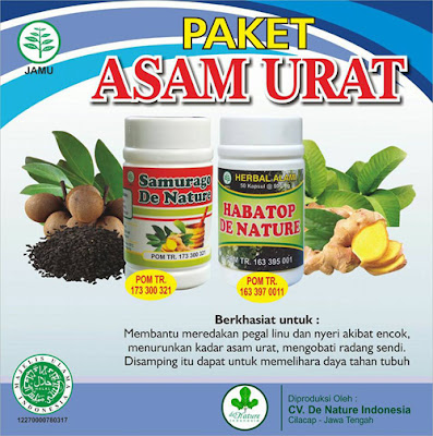 Obat Asam Urat 