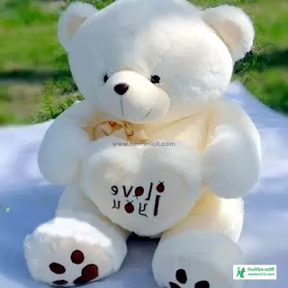 টেডি পিক  - টেডি বিয়ারের ছবি ডাউনলোড - teddy bear pic - NeotericIT.com - Image no 7
