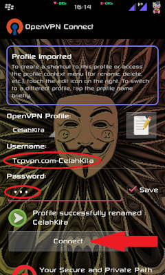 Cara Menggunakan Openvpn Gratis Di Android