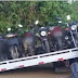 Circuito fechado: Operação apreende 37 motocicletas irregulares em Campos   