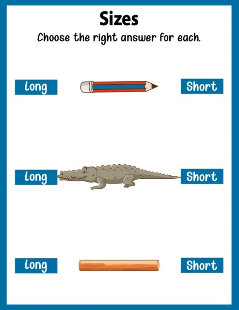 Sizes