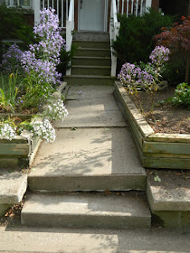 Toronto Roncesvalles Front Yard Fall Cleanup After by Paul Jung Gardening Services--a Toronto Organic Gardener