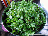 Pudina ilai [ Mint leaves ]